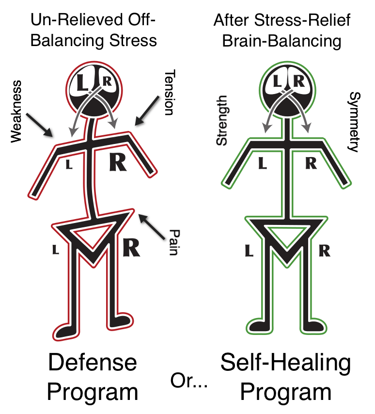 Alphabiotic model contrasting an uneven stick figure marked weakness, tension, and pain with a symmetrical figure marked strength; the source labels the states Defense Program and Self-Healing Program.